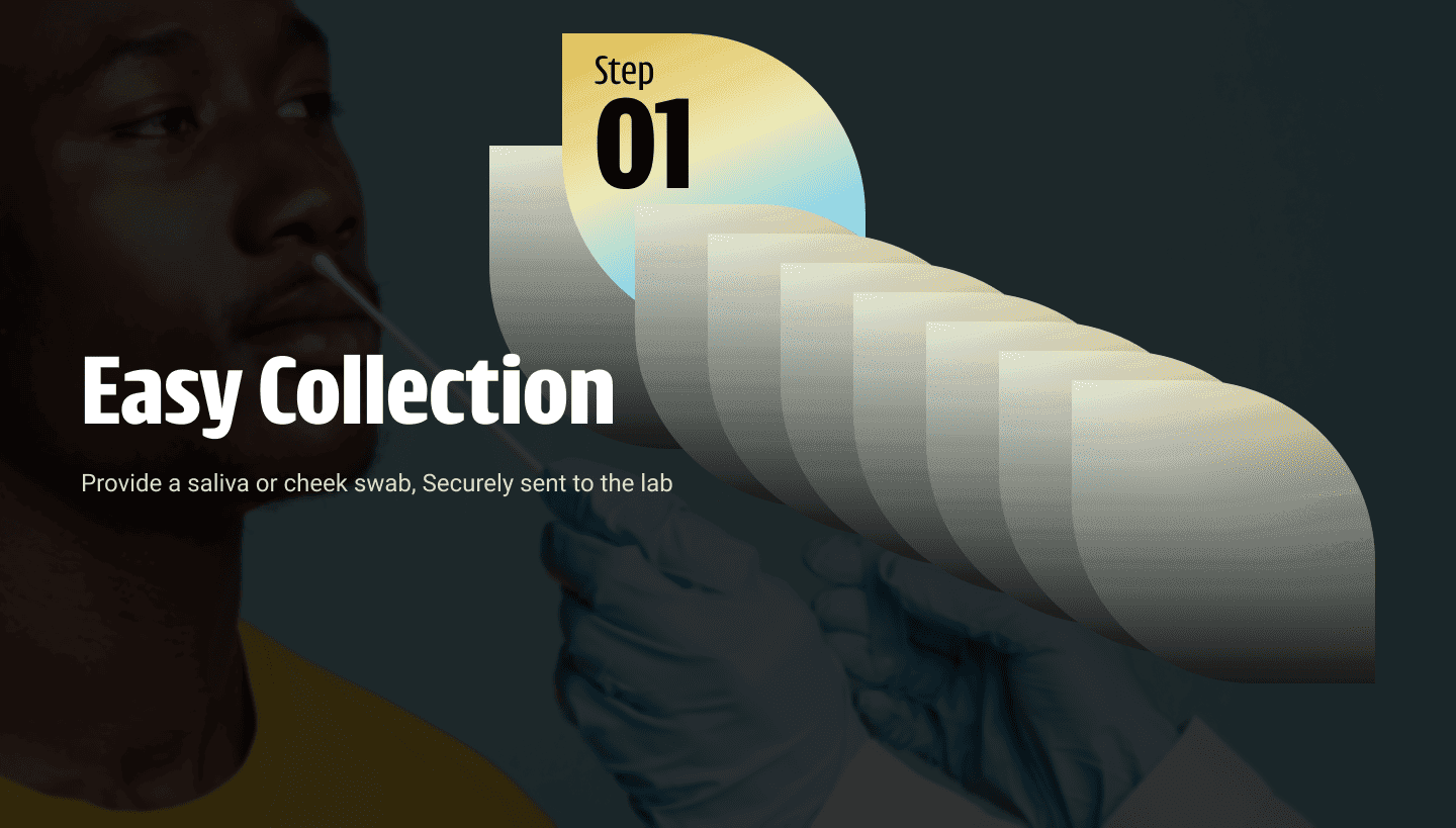 Easy Collection